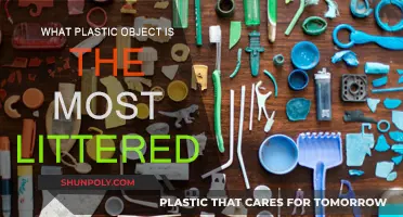 Plastic Pollution: The Most Littered Object Revealed