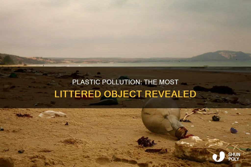 what plastic object is the most littered