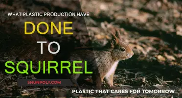Plastic Pollution: A Squirrel's Worst Nightmare