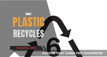 The Plastic Recycling Conundrum: What Plastics Can Be Recycled?