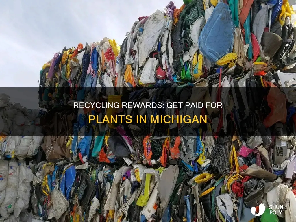 what plastic recycling company in michigan pays for plants