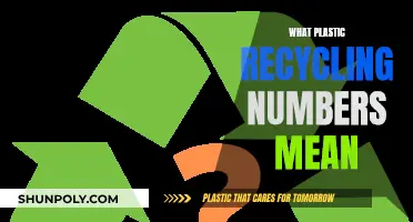 Understanding the Meaning of Plastic Recycling Symbols