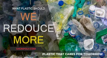 Reducing Plastic Pollution: Which Plastics Should We Target First?