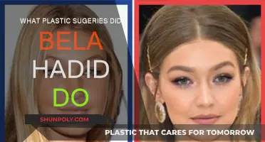 Bela Hadid's Plastic Surgery Transformation