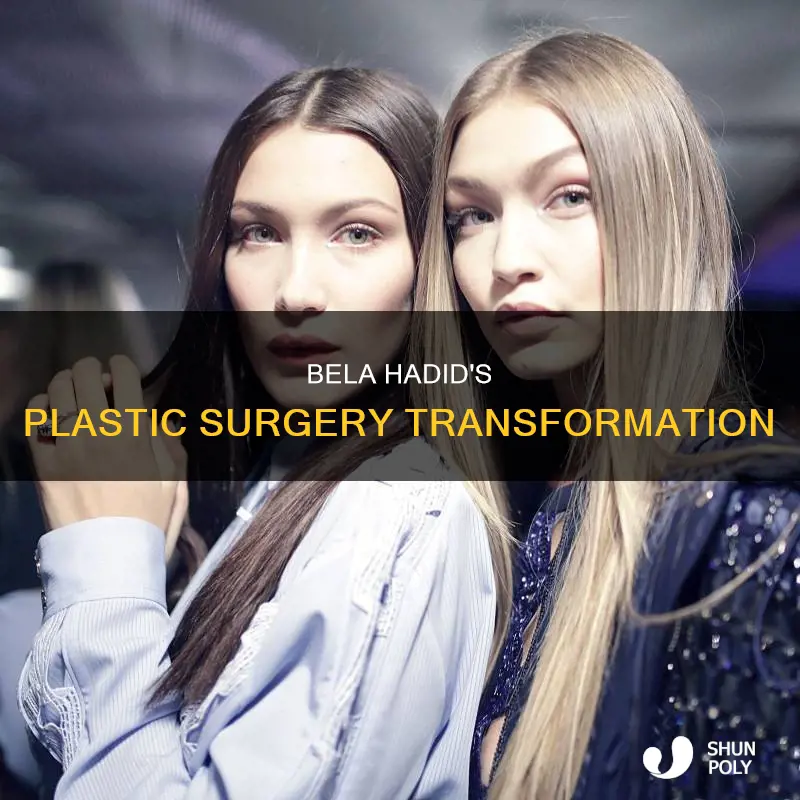 what plastic sugeries did bela hadid do