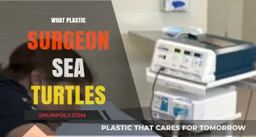 How Plastic Surgeons Are Saving Sea Turtles: A Conservation Story