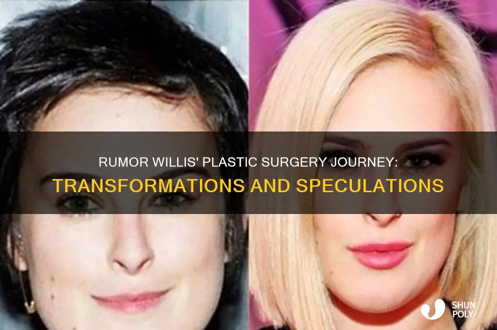 what plastic surgeries has rumor willis had