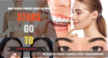 Unveiling K-Pop Stars' Secret: Top Plastic Surgery Clinics Revealed