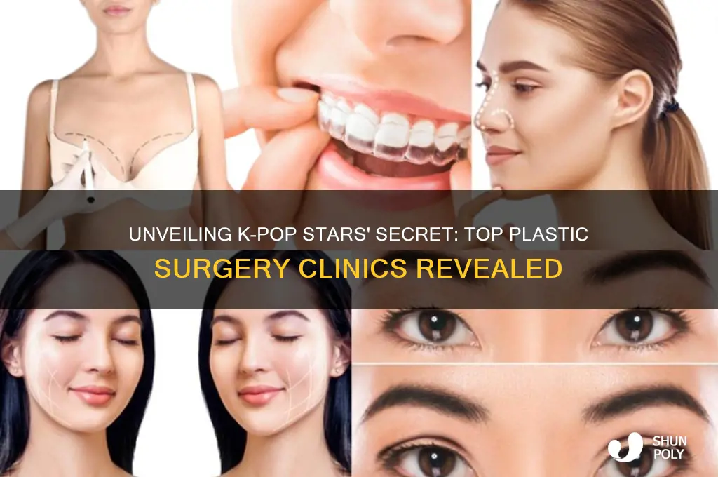 what plastic surgery clinics do kpop stars go to