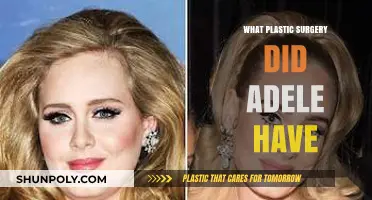 Adele's Transformation: Unveiling Her Plastic Surgery Journey and Results