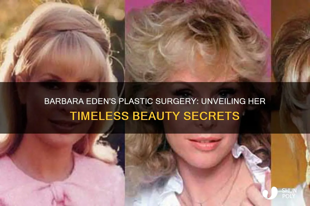 what plastic surgery did barbara eden have