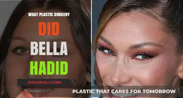 Bella Hadid's Plastic Surgery: Unveiling Her Transformation Journey