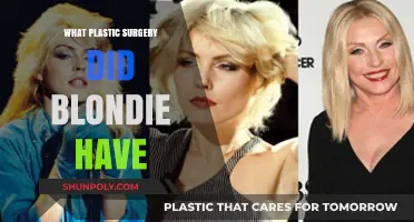 Debbie Harry's Transformation: Unveiling Blondie's Plastic Surgery Secrets