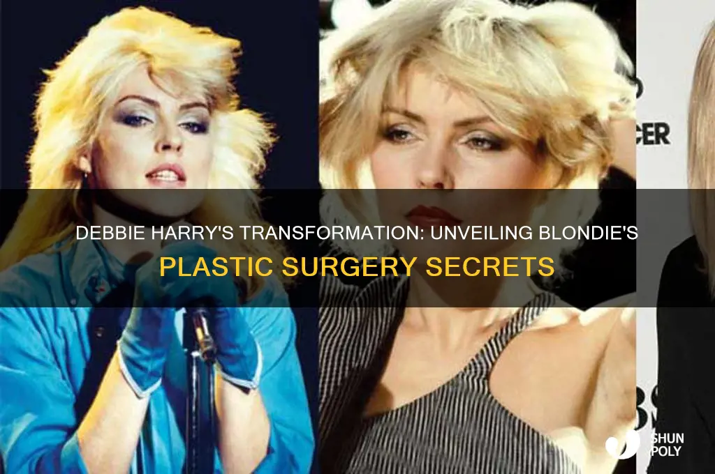 what plastic surgery did blondie have