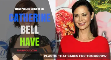 Catherine Bell's Plastic Surgery: Rumors, Facts, and Transformations Explored