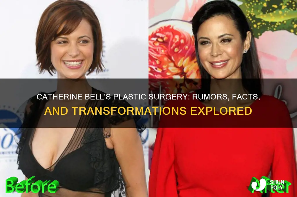 what plastic surgery did catherine bell have