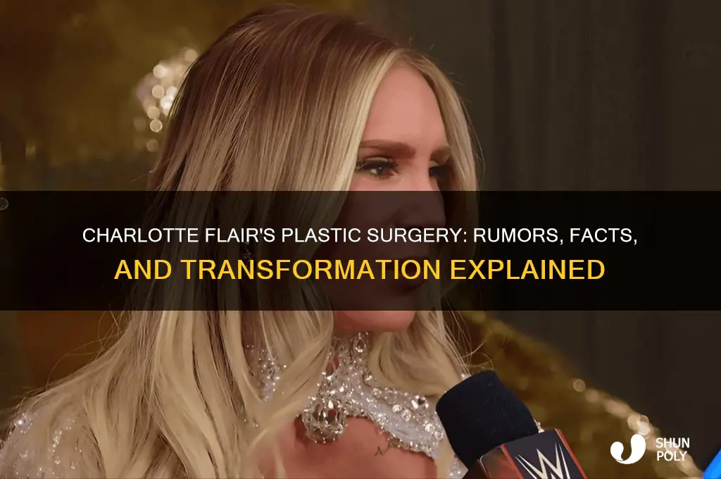 what plastic surgery did charlotte flair have