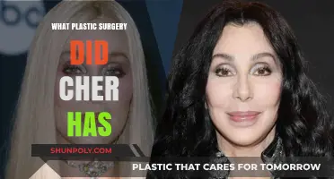 Cher's Plastic Surgery Journey: Procedures and Transformations Revealed