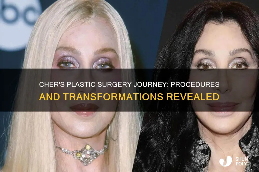 what plastic surgery did cher has