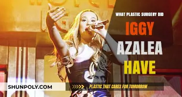 Iggy Azalea's Plastic Surgery Journey: What Procedures Did She Undergo?