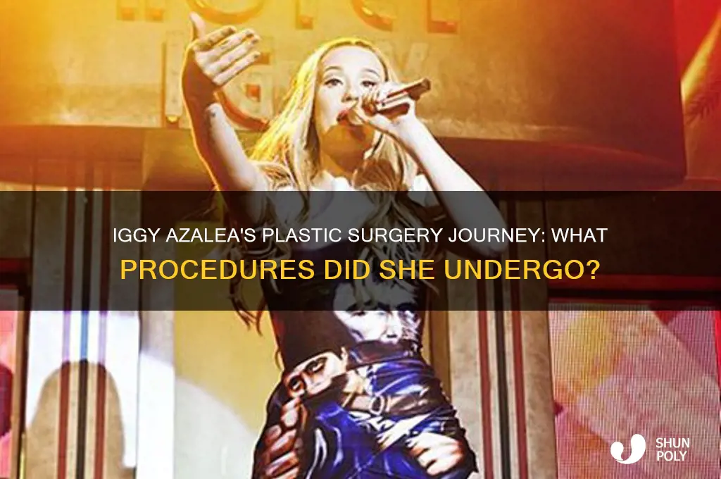 what plastic surgery did iggy azalea have