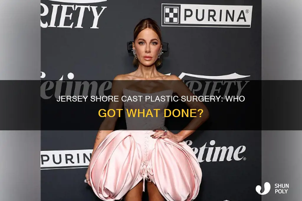 what plastic surgery did jersey shore cast get