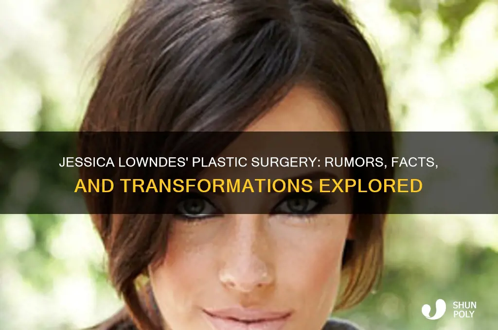 what plastic surgery did jessica lowndes have