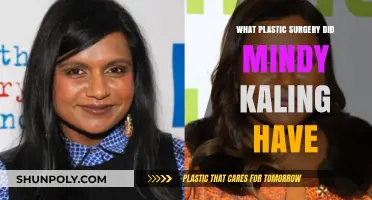 Mindy Kaling's Plastic Surgery: Rumors, Facts, and Transformations Explored