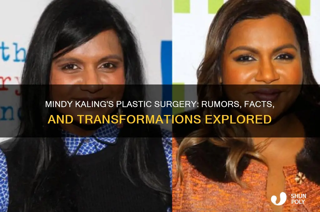 what plastic surgery did mindy kaling have