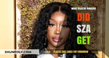SZA's Plastic Surgery Transformation: Rumors, Facts, and Her Candid Revelations