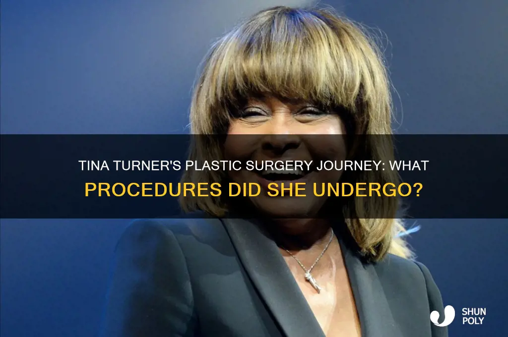 what plastic surgery did tina turner have