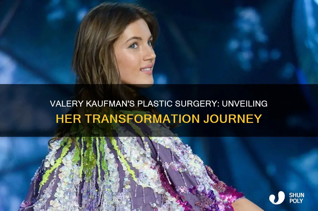 what plastic surgery did valery kaufman have