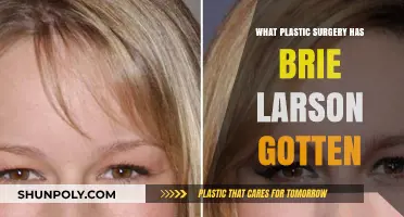 Brie Larson's Plastic Surgery Speculations: Fact-Checking Her Transformation