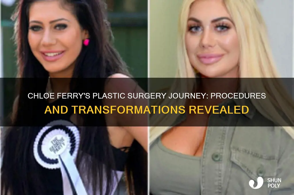 what plastic surgery has chloe ferry had