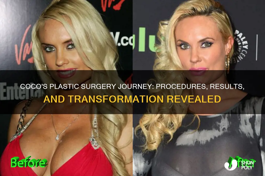 what plastic surgery has coco had
