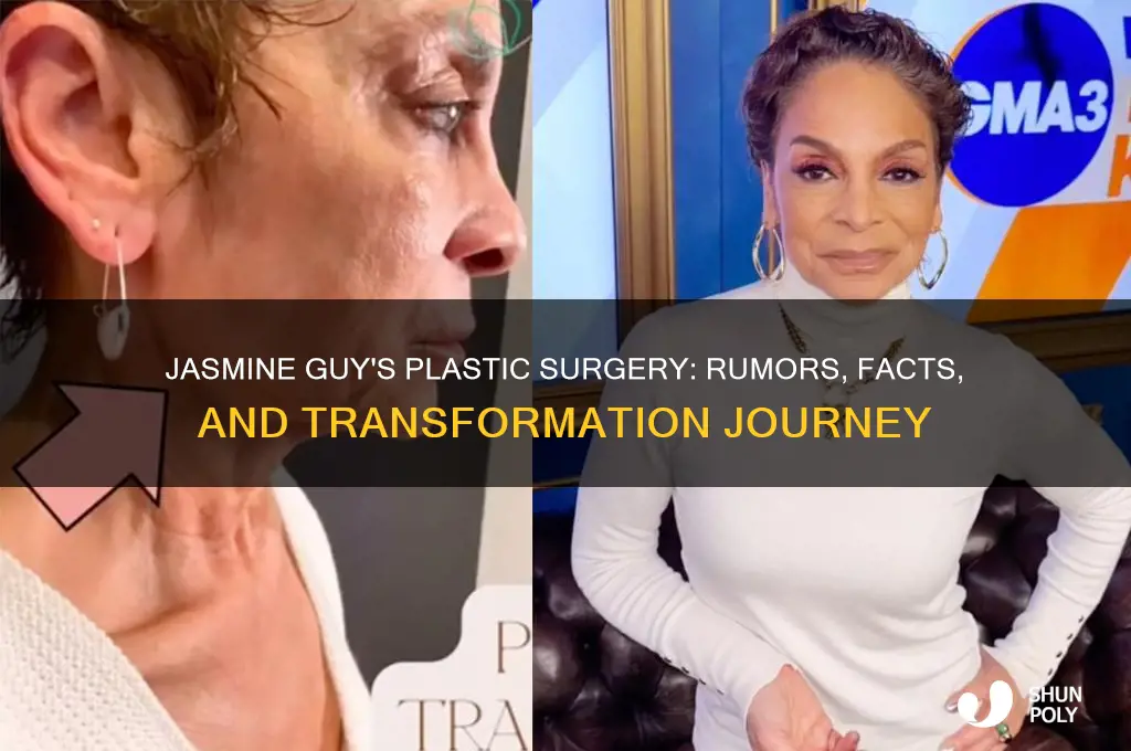 what plastic surgery has jasmine guy had