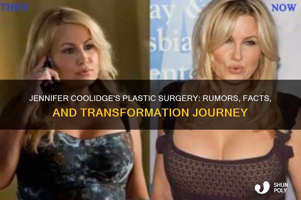 what plastic surgery has jennifer coolidge had