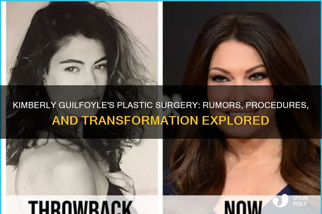 what plastic surgery has kimberly guilfoyle had