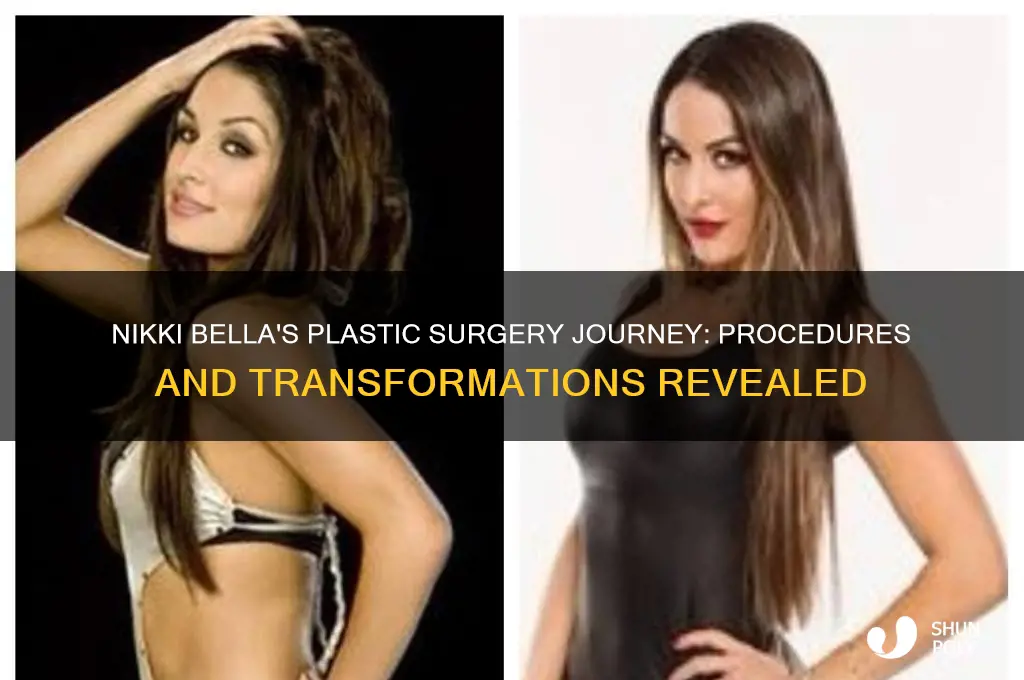 what plastic surgery has nikki bella had