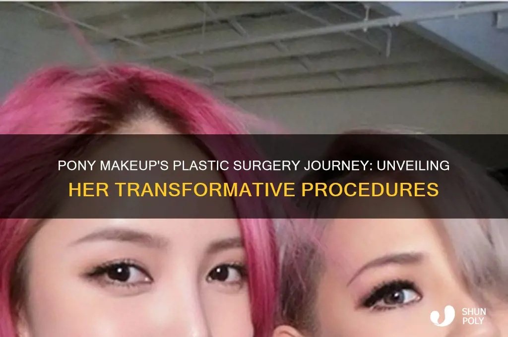 what plastic surgery has pony makeup had