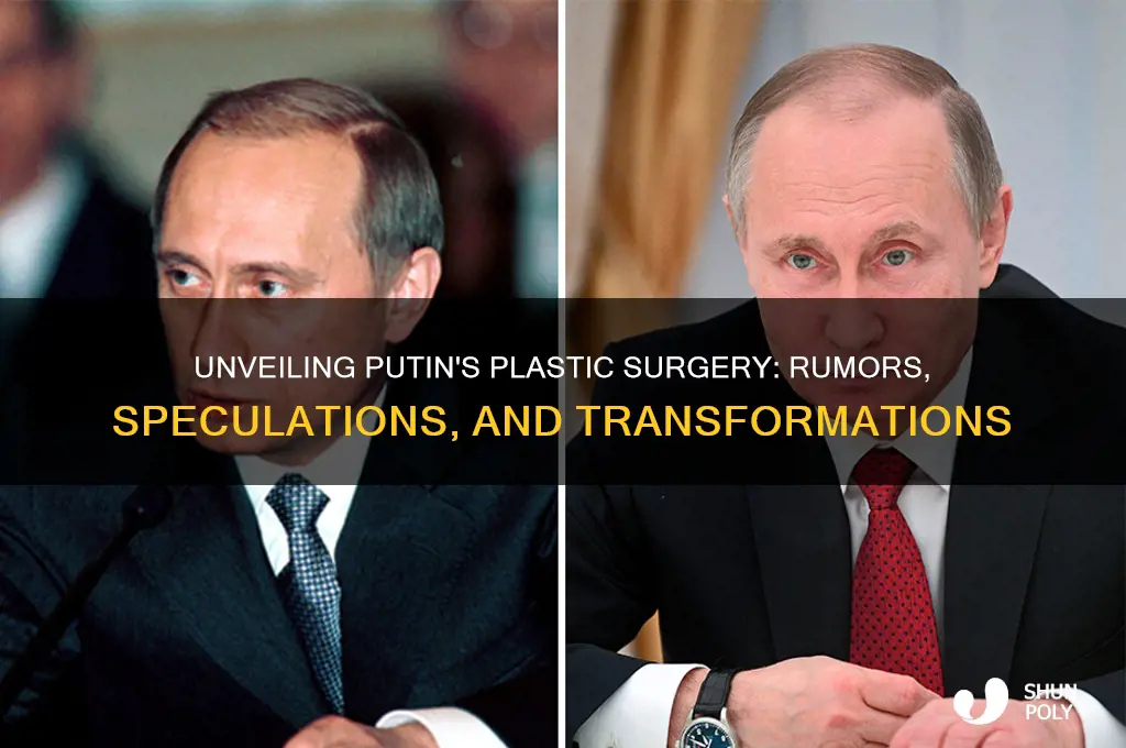 what plastic surgery has putin had