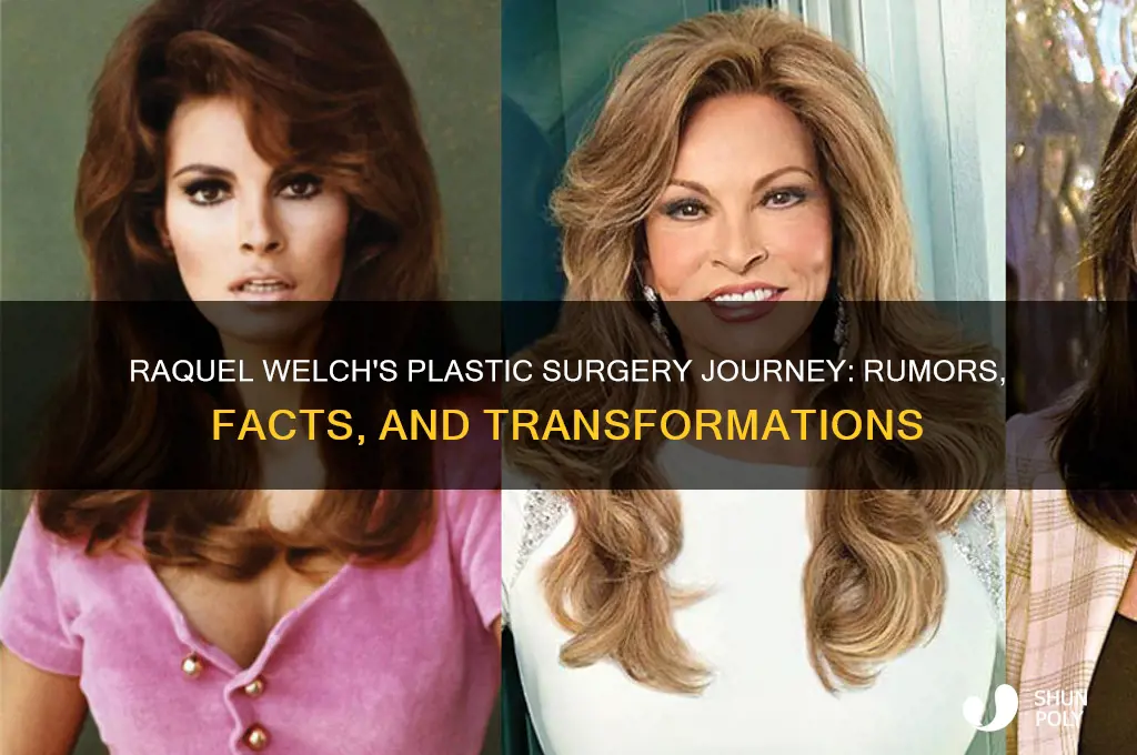 what plastic surgery has raquel welch had