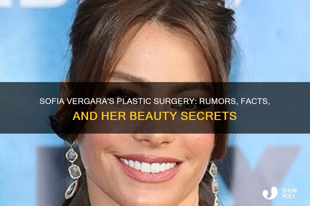 what plastic surgery has sofia vergara gotten