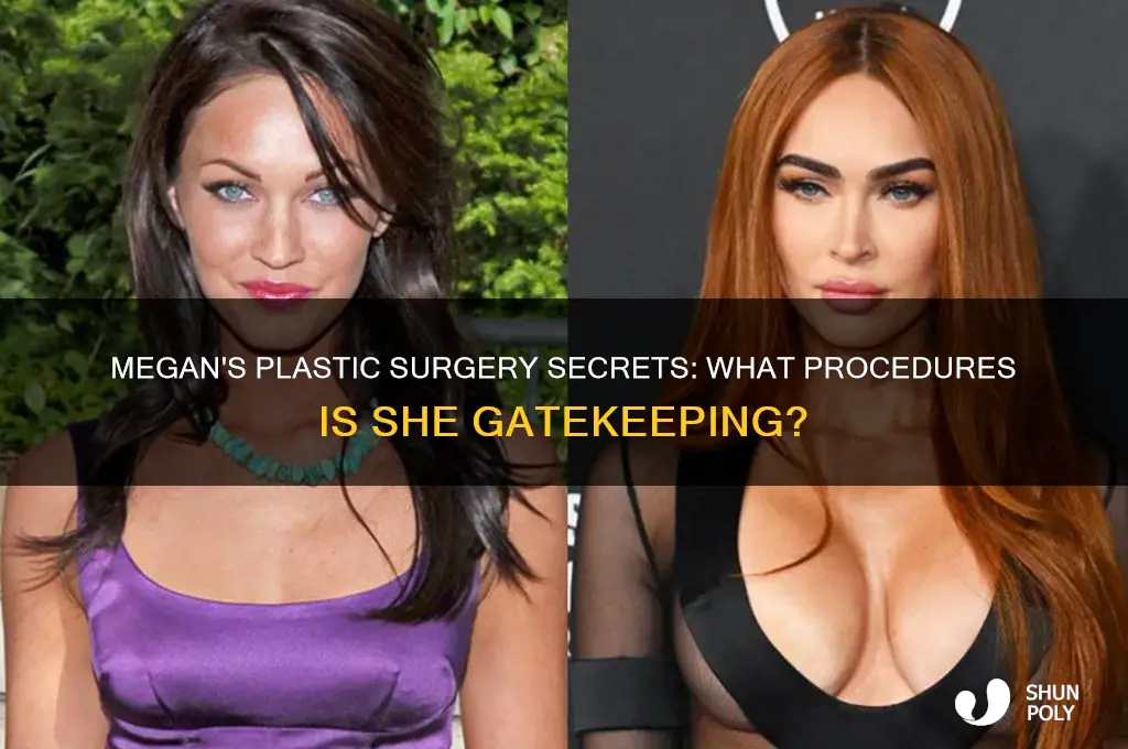 what plastic surgery is megan gatekeeping