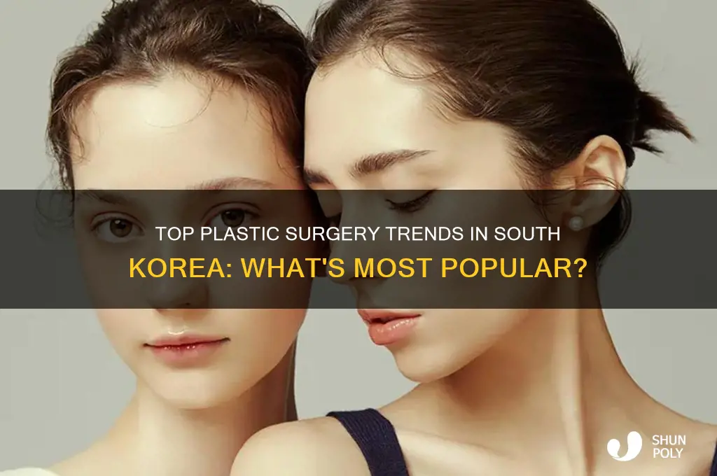 what plastic surgery is most popula in south kore