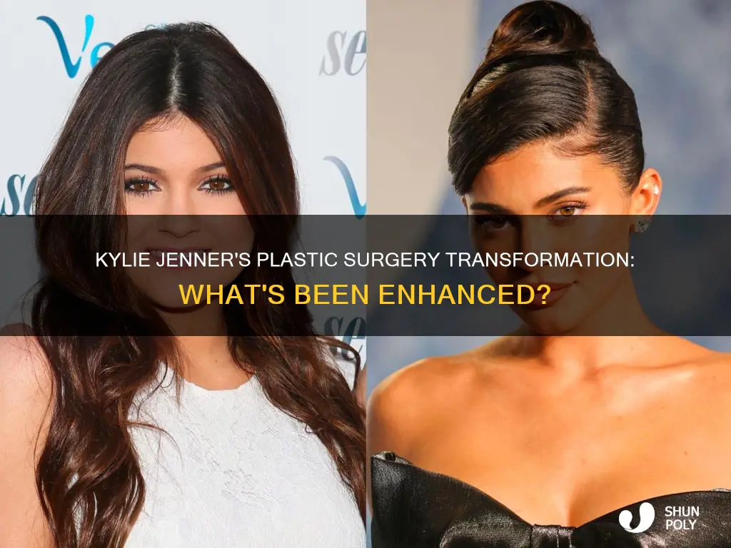 what plastic surgeryhas kylie jenner had