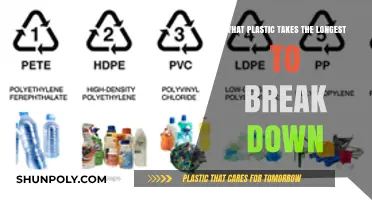 Unraveling the Mystery: Which Plastics Outlast the Rest?