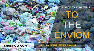 Plastic Pollution: Harmful Environmental Impact of Plastics