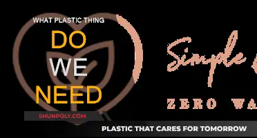 Plastic Necessities: What Items Can't We Live Without?