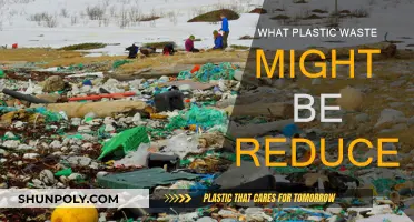 Reducing Plastic Waste: Steps to a Greener Tomorrow